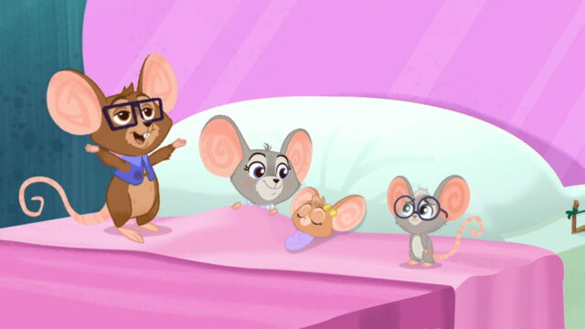 Vignette du programme télé Vida la véto