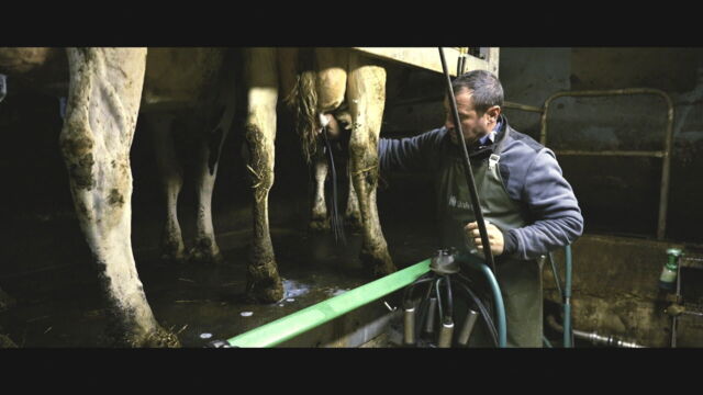 Vignette du programme télé Violence dans les champs