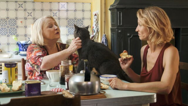 Vignette du programme télé Retour chez ma mère