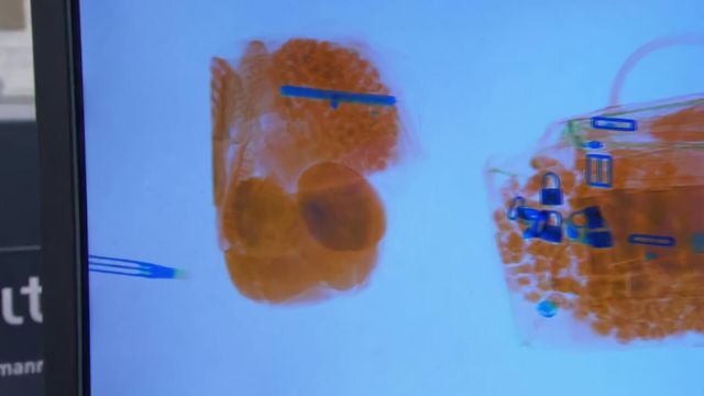 Vignette du programme télé Douanes sous haute surveillance - Saison 14