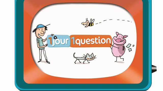 Vignette du programme télé Un jour, une question