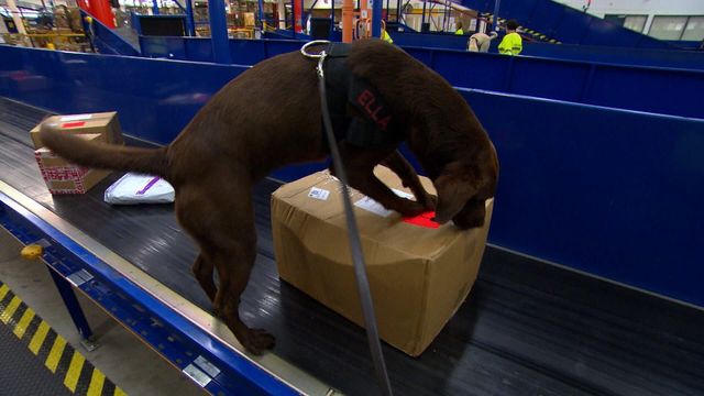 Vignette du programme télé Douanes sous haute surveillance - Saison 17