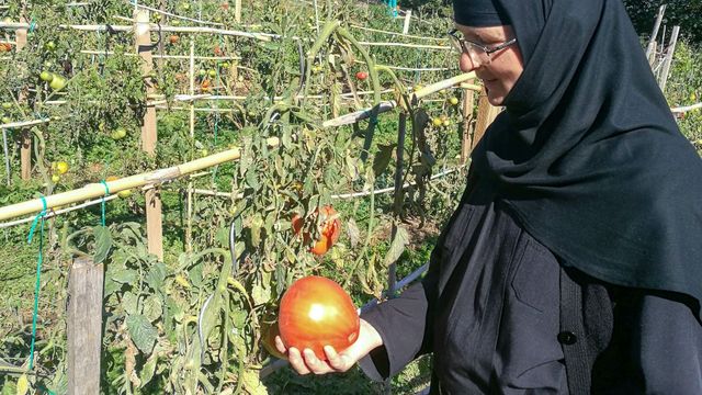 Vignette du programme télé GEO Reportage