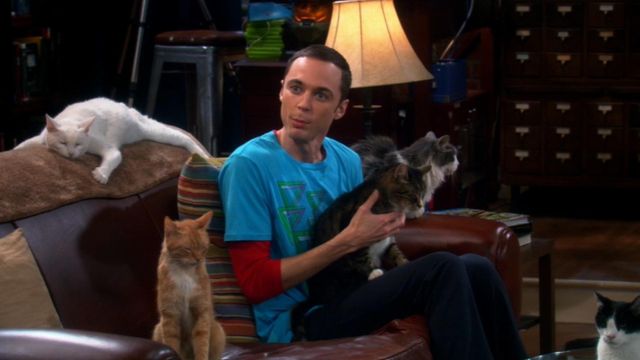 Vignette du programme télé Big Bang Theory - Saison 4