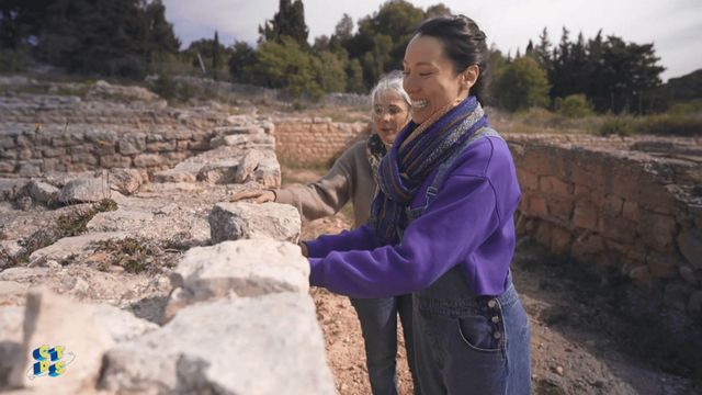 Vignette du programme télé C'est toujours pas sorcier