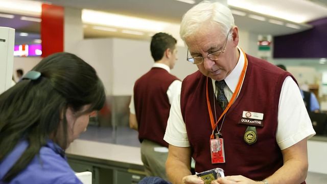 Vignette du programme télé Douanes sous haute surveillance - Saison 14