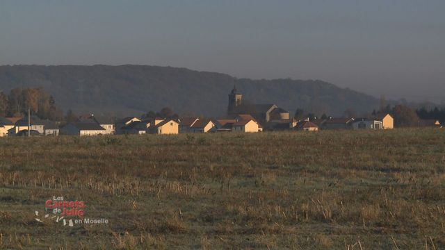 Vignette du programme télé Les carnets de Julie