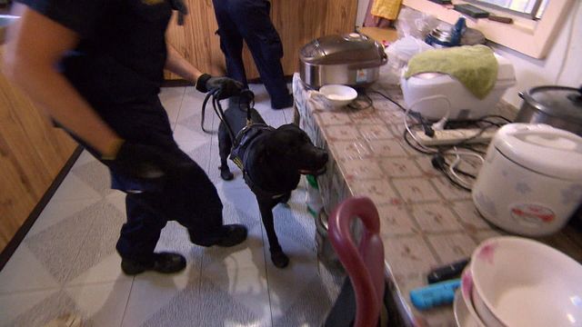 Vignette du programme télé Douanes sous haute surveillance - Saison 11