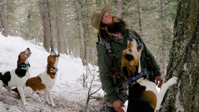 Vignette du programme télé Seuls face à l'Alaska - Saison 11