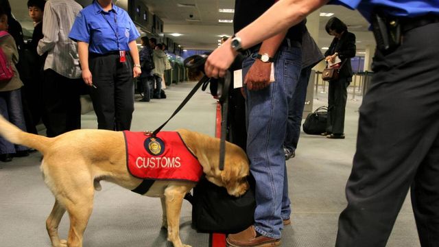 Vignette du programme télé Douanes sous haute surveillance - Saison 14