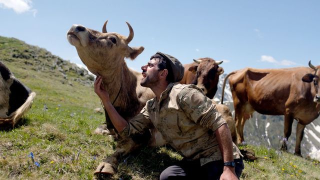Vignette du programme télé GEO Reportage