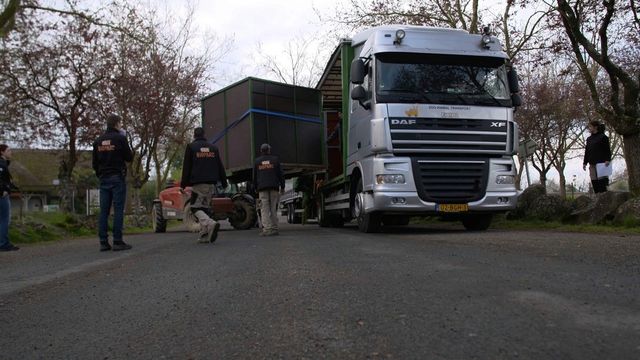 Vignette du programme télé Zoo : le défi de demain - Saison 2