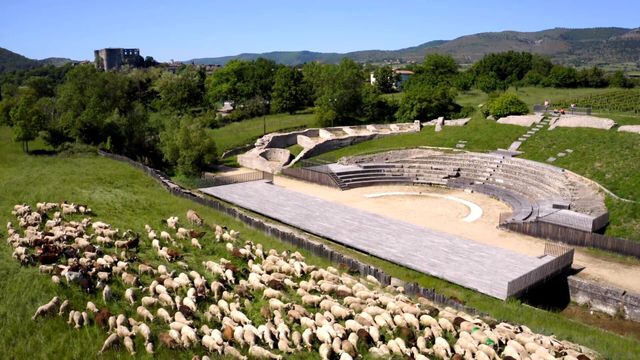 Vignette du programme télé Des racines et des ailes