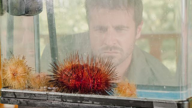 Vignette du programme télé Morsures et piqûres : le grand test - Saison 1