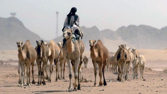 Vignette du programme télé Invitation au voyage