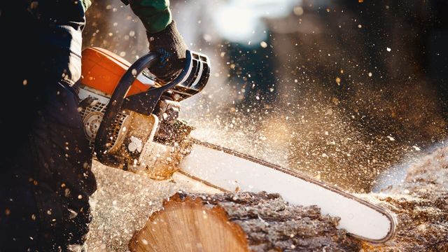 Vignette du programme télé Bûcheron : un métier à hauts risques - Saison 2