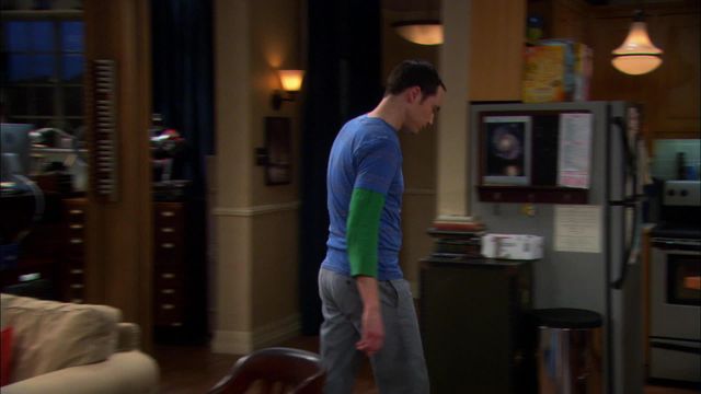 Vignette du programme télé Big Bang Theory - Saison 4