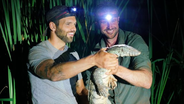 Vignette du programme télé Morsures et piqûres : le grand test - Saison 1