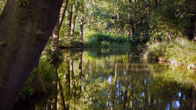 Vignette du programme télé GEO Reportage