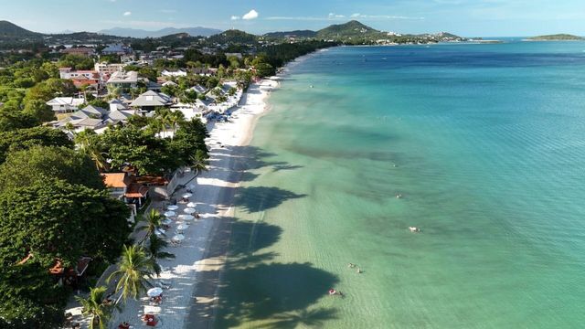 Vignette du programme télé Zone interdite