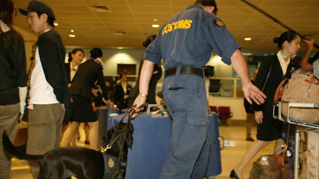 Vignette du programme télé Douanes sous haute surveillance - Saison 8