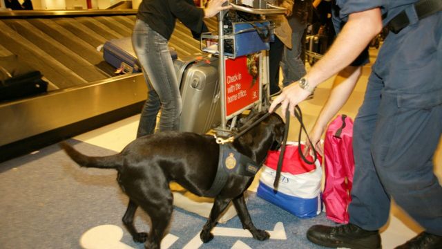 Vignette du programme télé Douanes sous haute surveillance - Saison 8