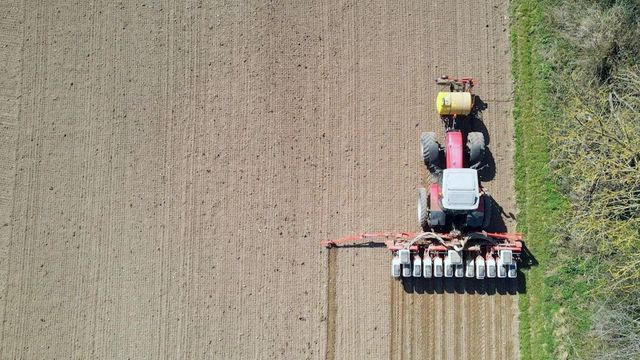 Vignette du programme télé Insecticide, comment l'agrochimie a tué les insectes