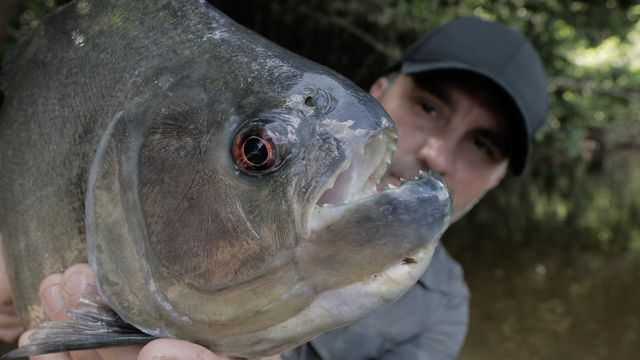 Vignette du programme télé Pêche XXL - Saison 3