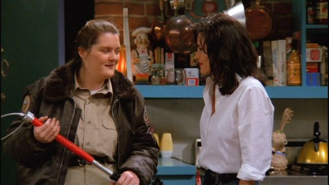 Vignette du programme télé Friends - Saison 1