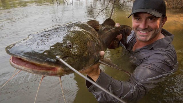 Vignette du programme télé Pêche XXL - Saison 2