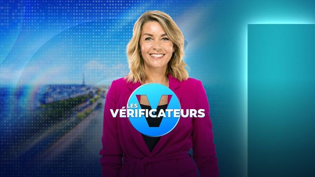 Vignette du programme télé Les vérificateurs