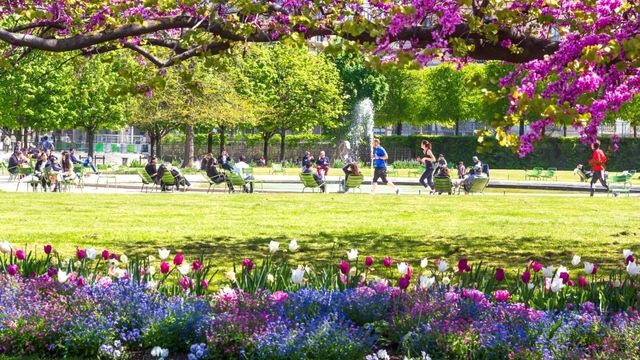 Vignette du programme télé Paris côté jardins