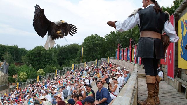 Vignette du programme télé Puy du Fou : les secrets du parc d'attraction préféré des Français
