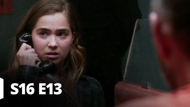 Vignette du programme télé New York Unité Spéciale - Saison 16