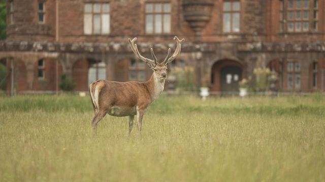 Vignette du programme télé Invitation au voyage