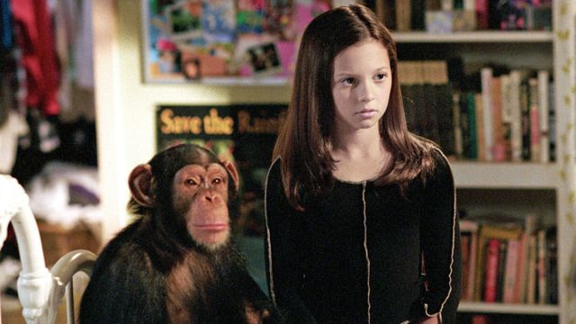 Vignette du programme télé 7 à la maison - Saison 8