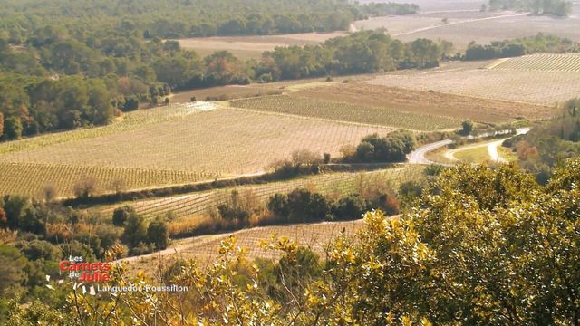 Vignette du programme télé Les carnets de Julie