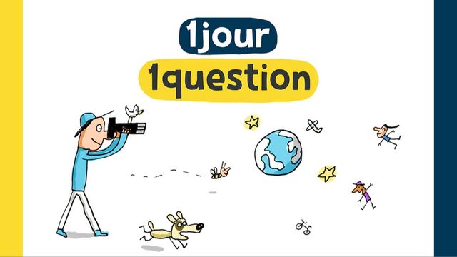 Vignette du programme télé Un jour, une question