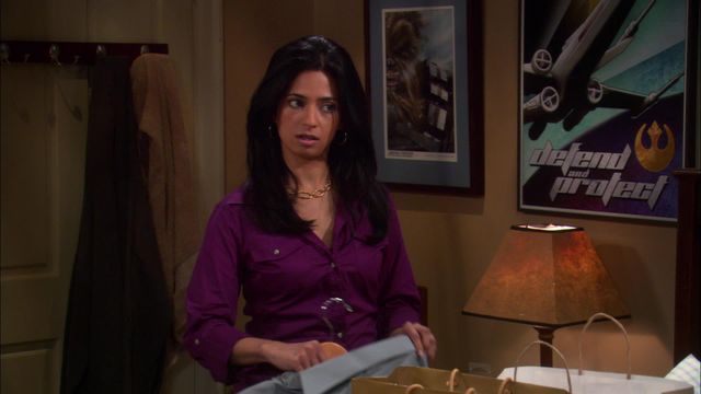 Vignette du programme télé Big Bang Theory - Saison 4