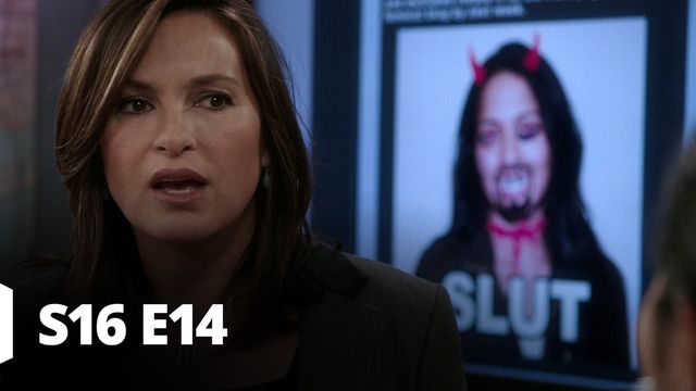 Vignette du programme télé New York Unité Spéciale - Saison 16