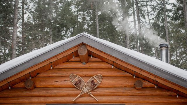 Vignette du programme télé La petite fille dans les bois