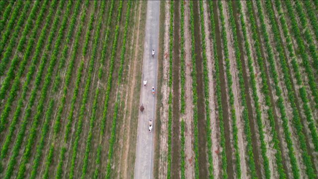 Vignette du programme télé La bicyclette fait sa vélorution