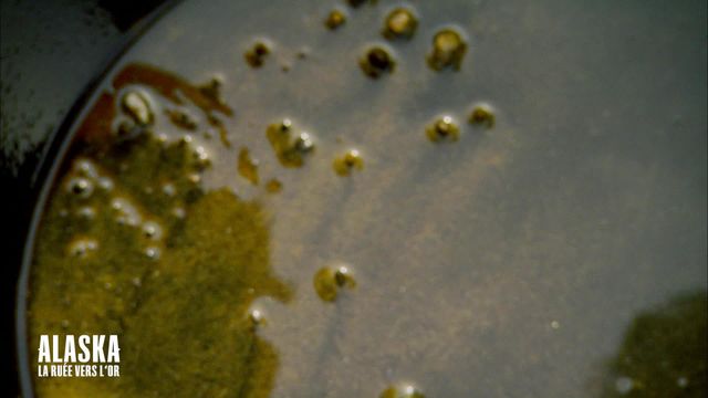 Vignette du programme télé Alaska : La ruée vers l'or - Saison 2