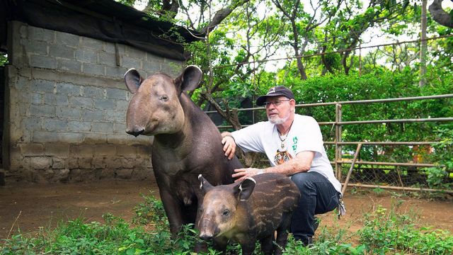 Vignette du programme télé GEO Reportage