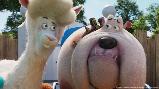 Vignette du programme télé Coop Troop - Saison 1