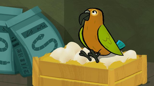 Vignette du programme télé Le refuge d'Audrey - Saison 1