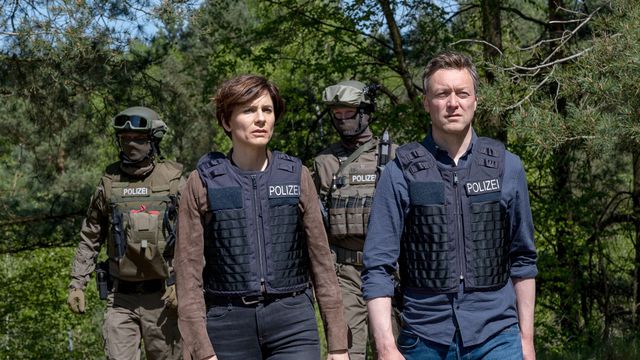 Vignette du programme télé Toute la vérité