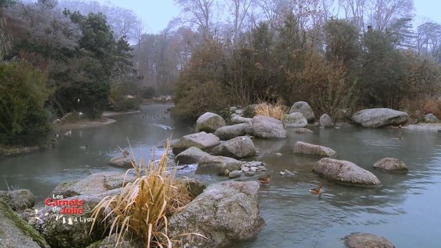 Vignette du programme télé Les carnets de Julie