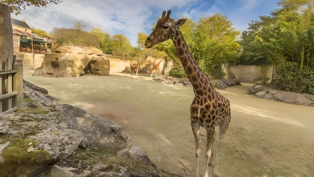Vignette du programme télé Zoo : le défi de demain - Saison 2