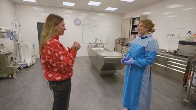 Vignette du programme télé Vis ma vie